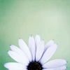 1396.gif